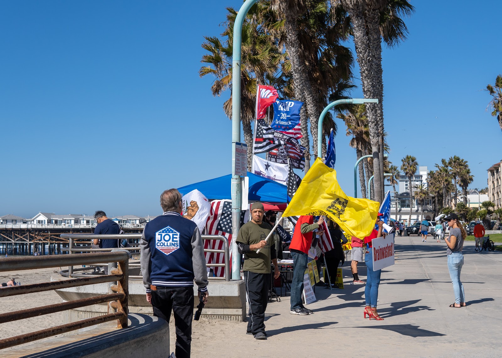 An individual with a jacket bearing the logo of Joe Collins' campaign stands, facing away from the camera, while a man wielding a large Gadsen flag peers into the lens.