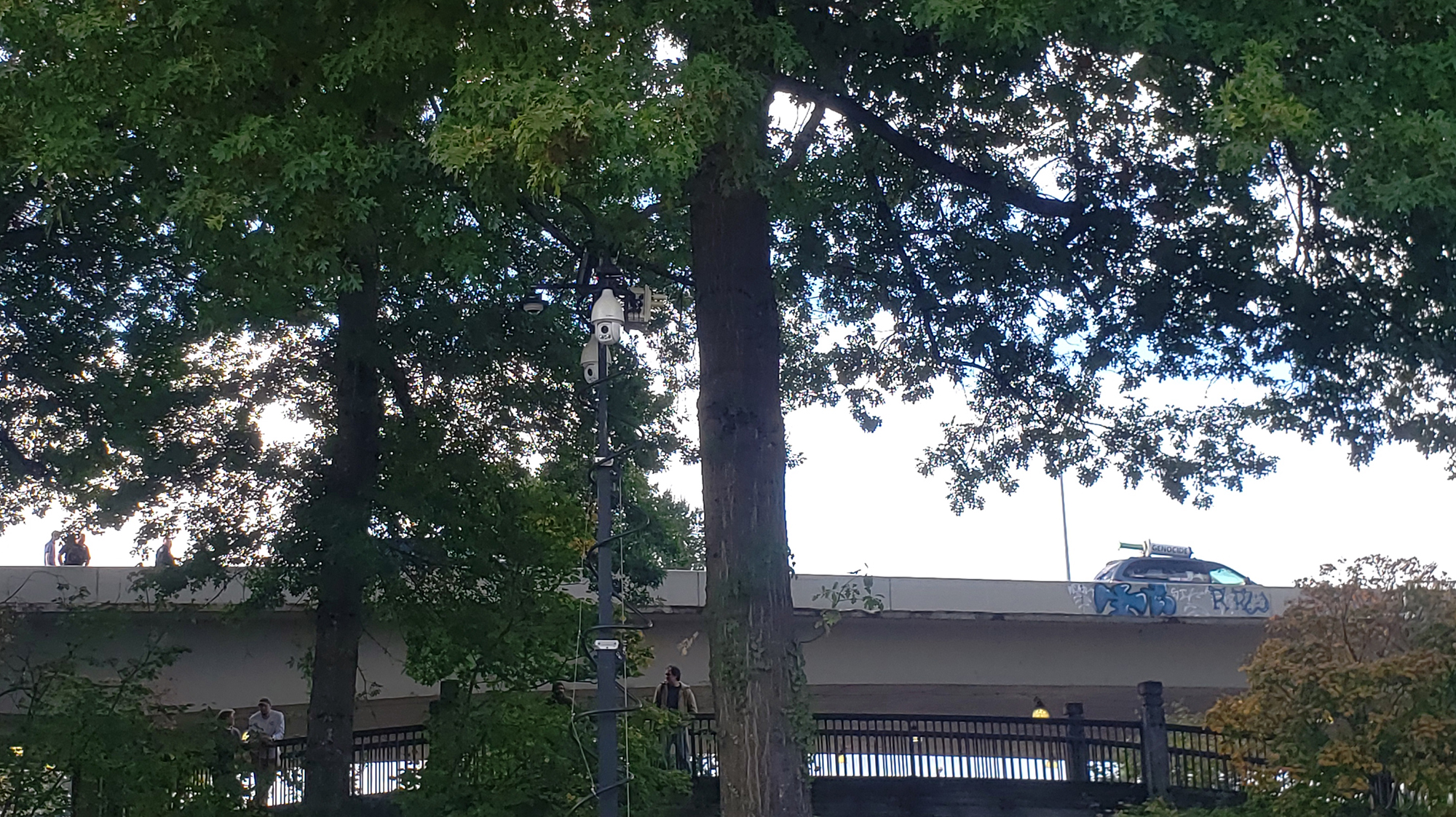 A color photo looking up towards an overpass past three tall, mature trees with green foliage. On the overpass, to the right, the top of a Chrysler Town & Country van can be seen with a large makeshift syringe on top. Two of the trees and the EPD Guardian tower can be seen in the middle. To the left, in a break of the foliage, are three individuals on the overpass talking.